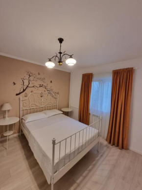 Herastrau Suite Apartments in Bucharest